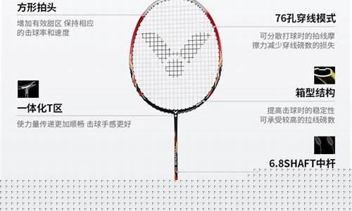 aa羽毛球_AA羽毛球拍