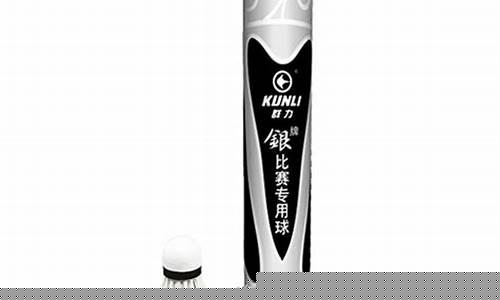 306羽毛球_306羽毛球拍多少钱