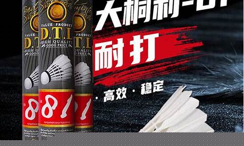 羽毛球_羽毛球场地尺寸标准尺寸图